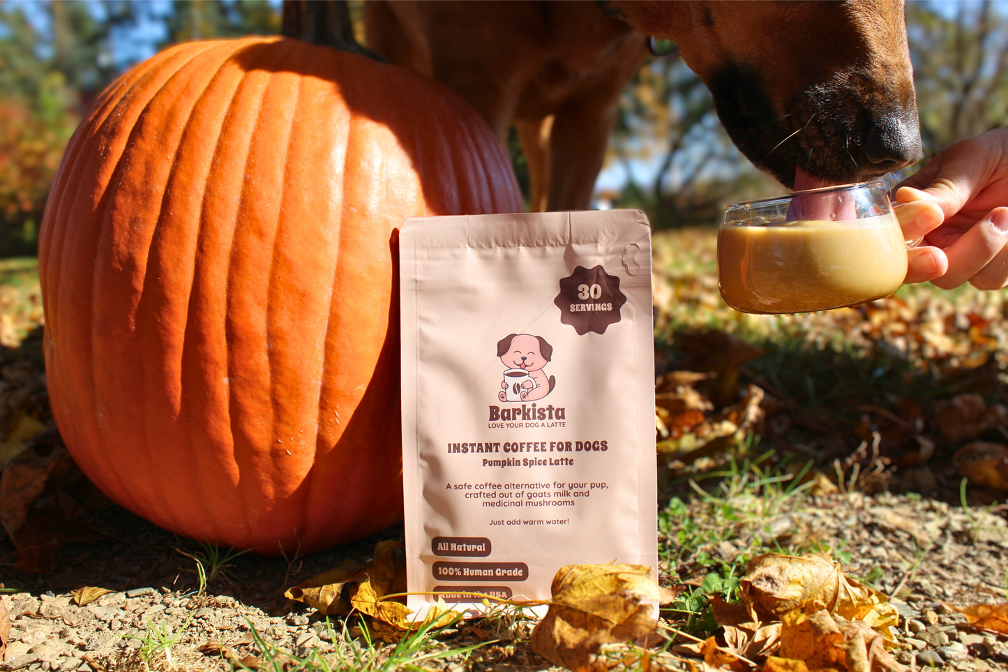 Pumpkin Spice Latte Instant Dog Coffee