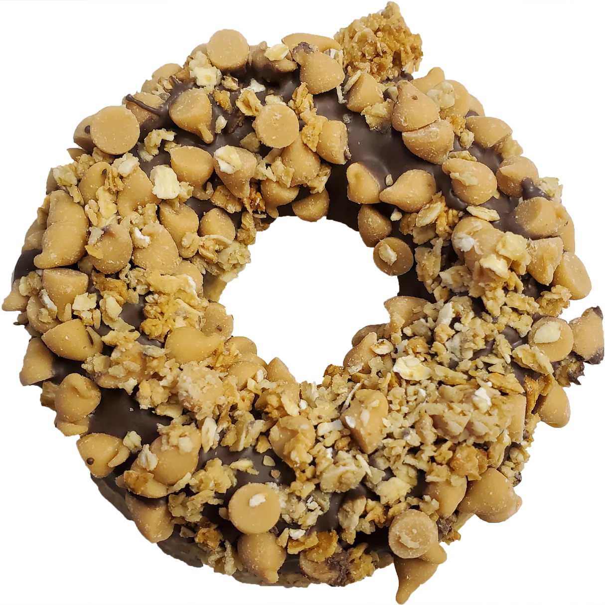 Doggy Donuts