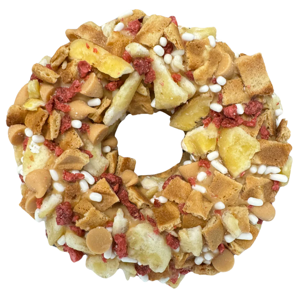 Doggy Donuts