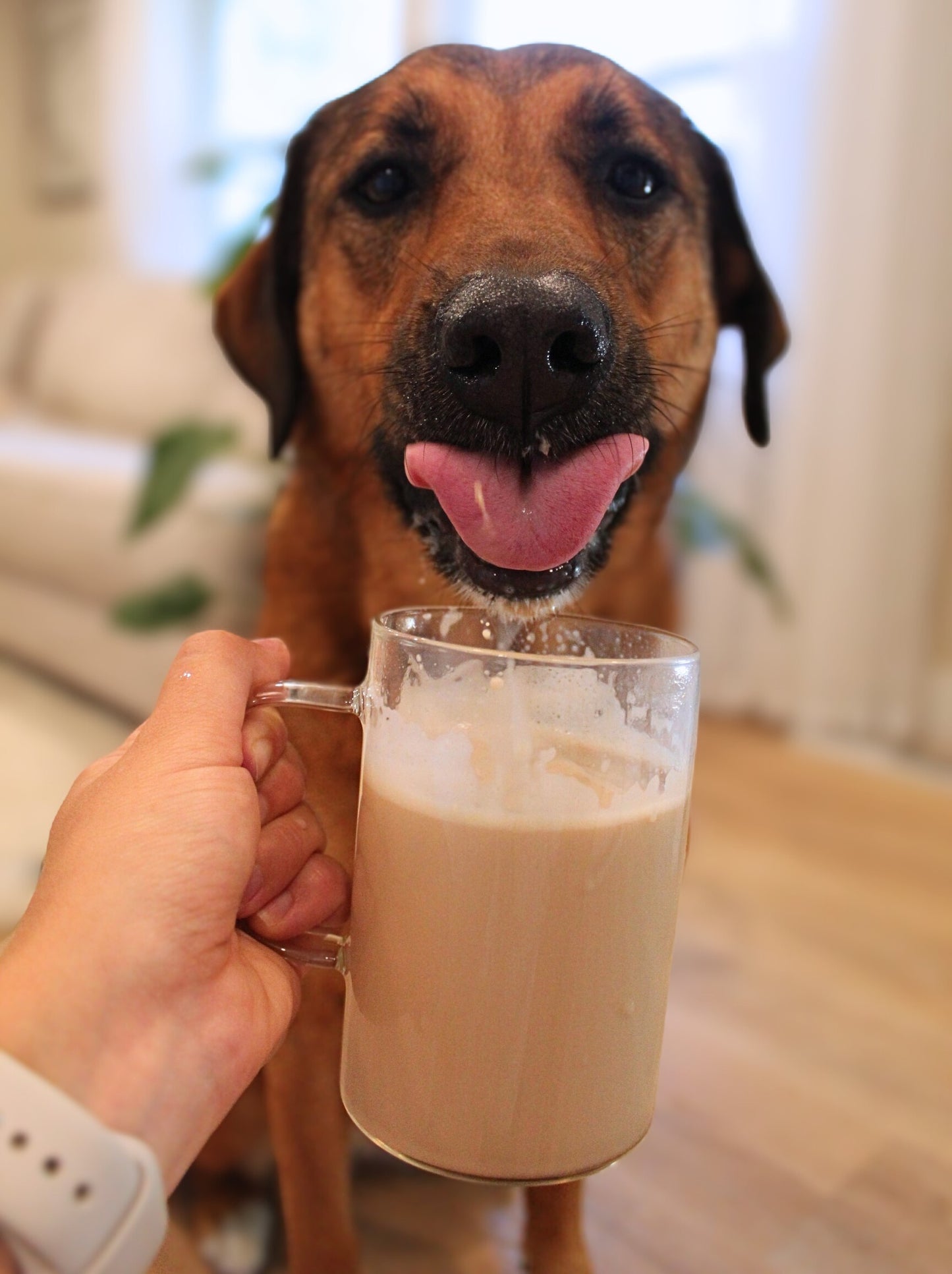 Caramel Latte K-9™ Cups